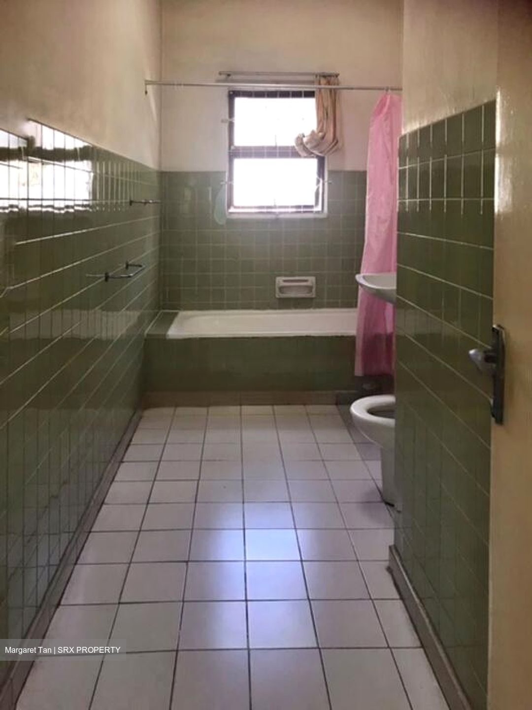 Clementi Park (D21), Detached #582423021